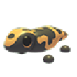 Adopt Me All Server Gila Monster-NFR