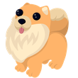 Adopt Me All Server Pomeranian