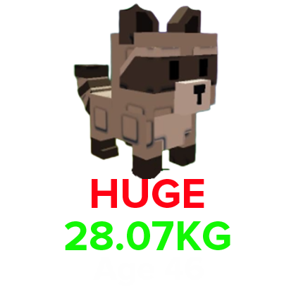 Grow a Garden Items All Server Raccoon (HUGE) (28.07KG Age 46)