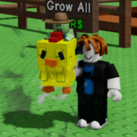 Grow a Garden Items All Server Windy Chicken Zombie